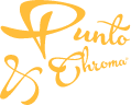 Logotipo de Punto & Chroma, Branding Haus en header.