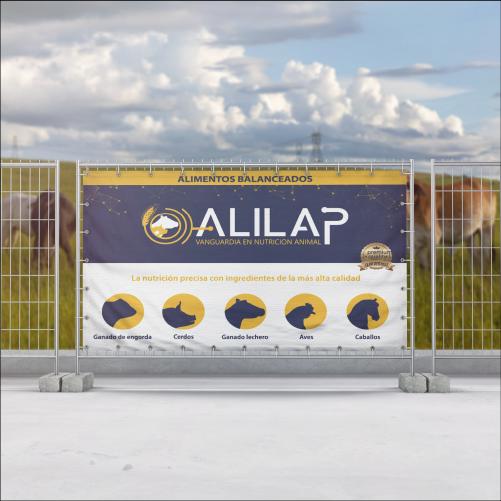 Imagen 5 del proyecto de Alilap