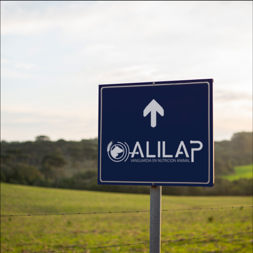 Imagen 2 del proyecto de Alilap