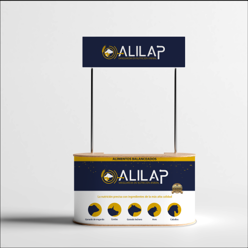 Imagen 3 del proyecto de Alilap