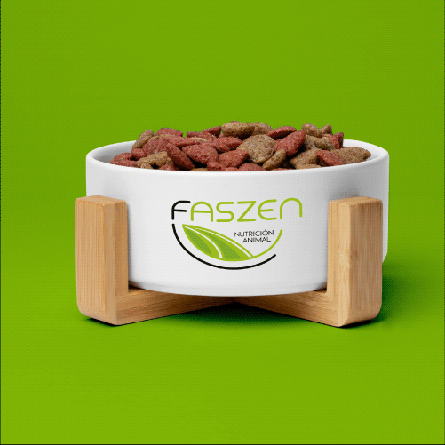 Imagen 7 del proyecto de Faszen