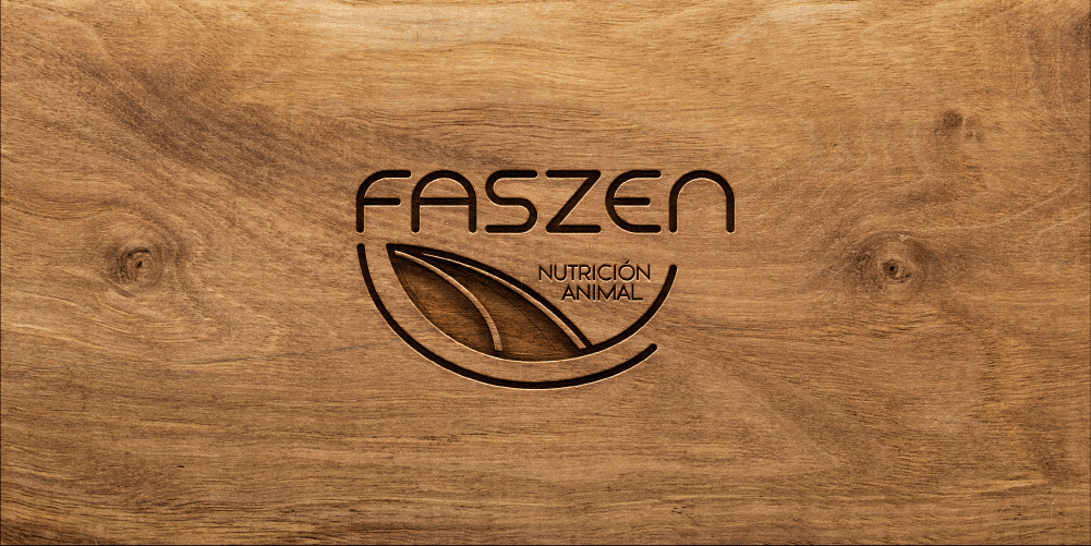 Portada de proyecto Faszen